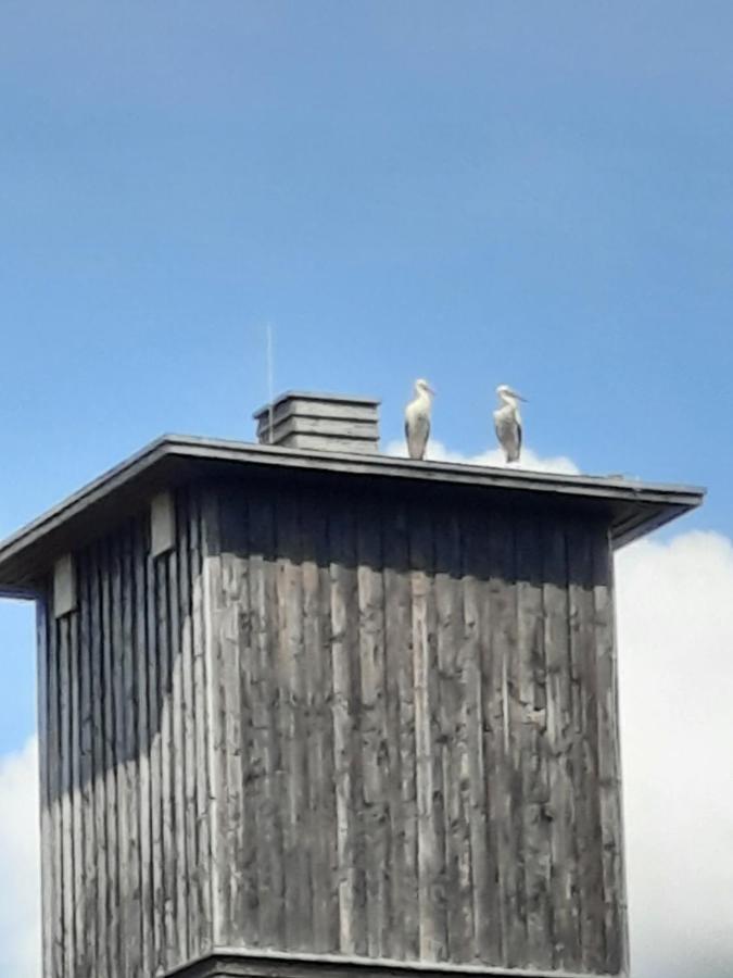 Ferienwohnung Am Schloss Reuterstadt Stavenhagen Dış mekan fotoğraf